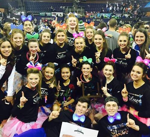 Cheer Champions 